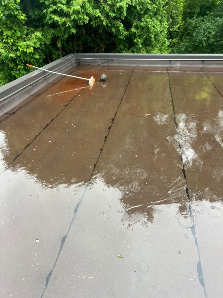 WhatsApp Image 2024-07-10 at 19.33.08_26a38e07