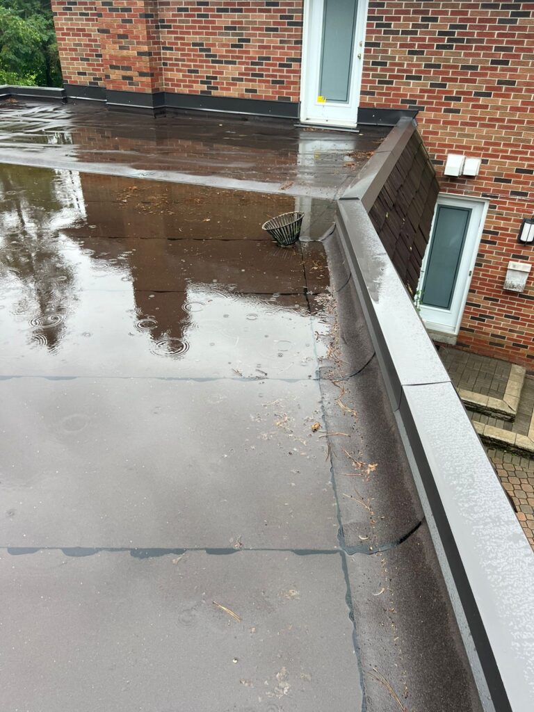 WhatsApp Image 2024-07-10 at 19.33.09_19a3c2c7