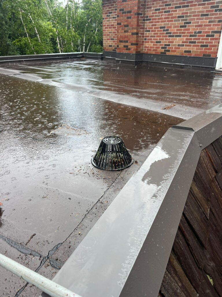 WhatsApp Image 2024-07-10 at 19.33.10_58415b18